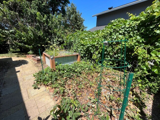 Building Photo - Beautiful 4Bd + 3Ba in Portland!! Offers Beautiful Outdoor Views and Great Gardening Backyards!!