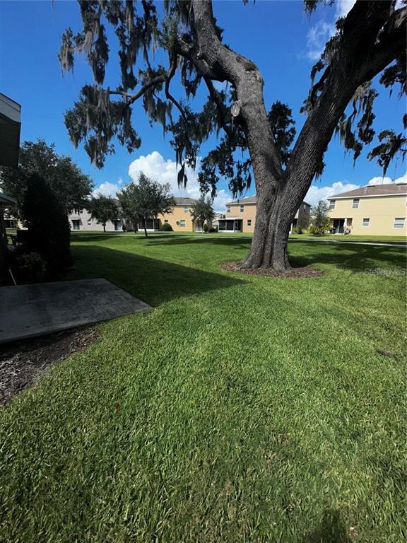 Building Photo - 15667 Boggy Oak Cir