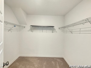 Building Photo - 930 Bluegrass Pt