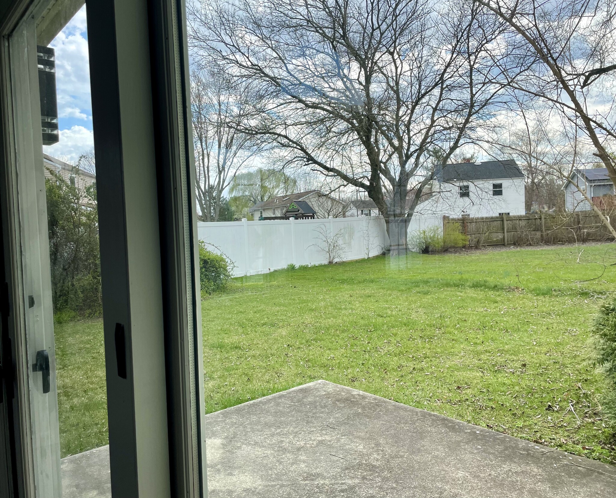 Backyard - 111 Heidi Ln