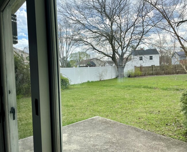Backyard - 111 Heidi Ln