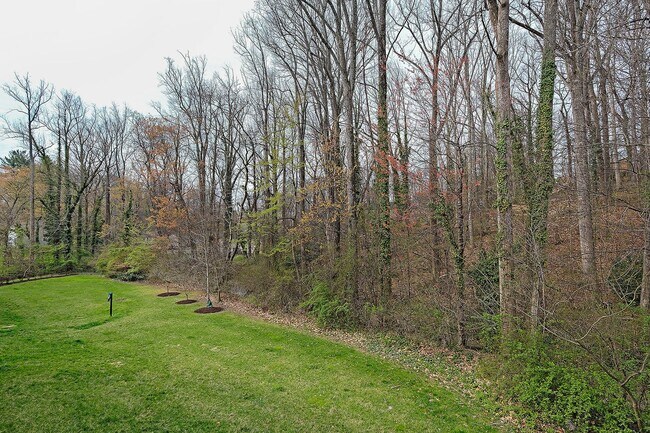 Building Photo - Pet-Friendly Townhome Convenient to UVA & Downtown