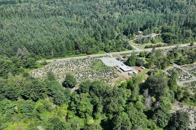 Building Photo - 3bd/2ba Issaquah House