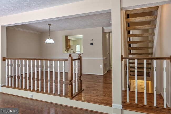 Building Photo - 619 Coral Reef Dr