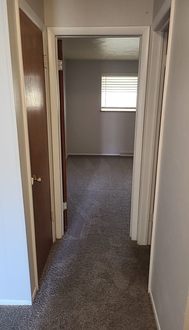 Building Photo - Updated 2 Bedroom Apartment with Private P...