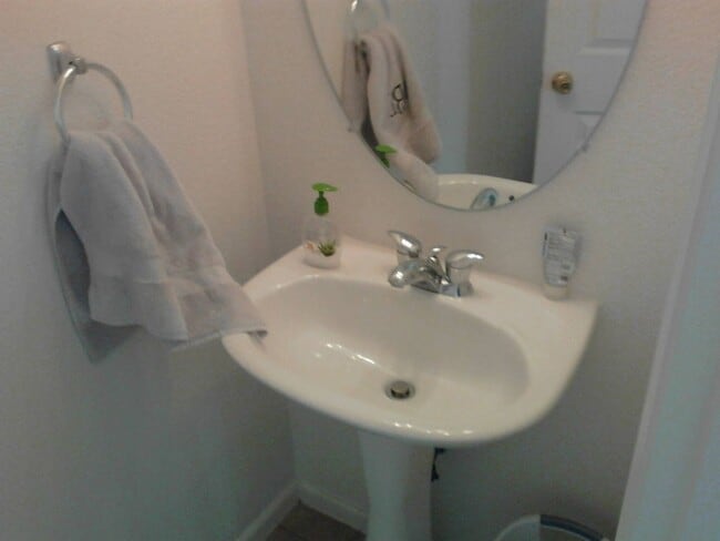 Building Photo - Beautiful 2 bedroom 2 1/2 bath plus loft in Central Park! More pics to come