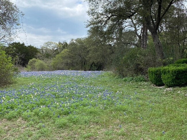 Back area - 3672 Ranch Creek Dr
