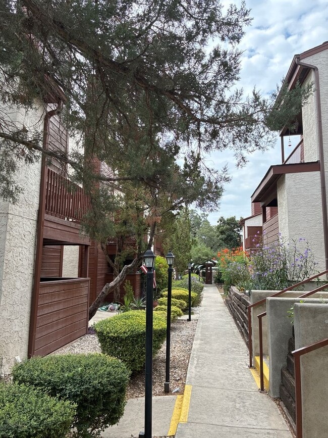 Building Photo - 1BR/1.5BA w/ Fireplace • Balcony • Pool Access in San Antonio