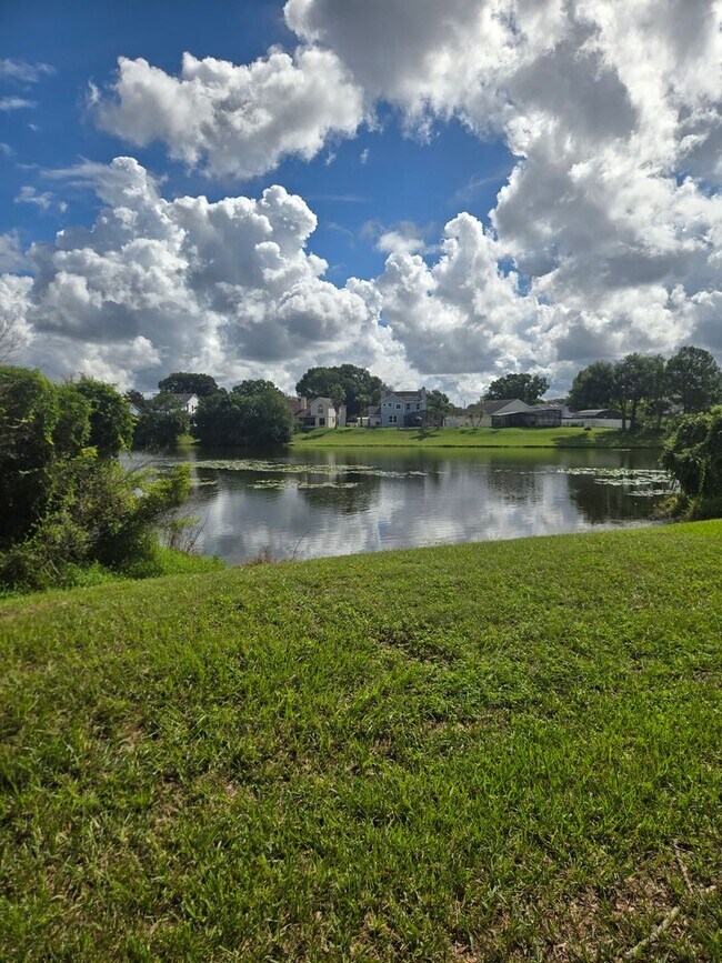 Building Photo - 2577 Grassy Point Dr