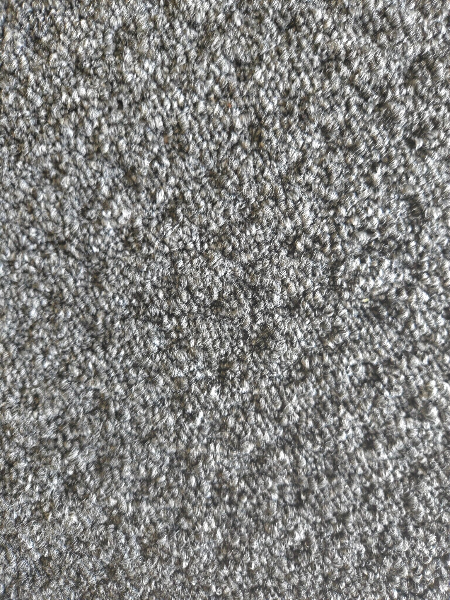 close up new carpet - 3409 10th Ln W