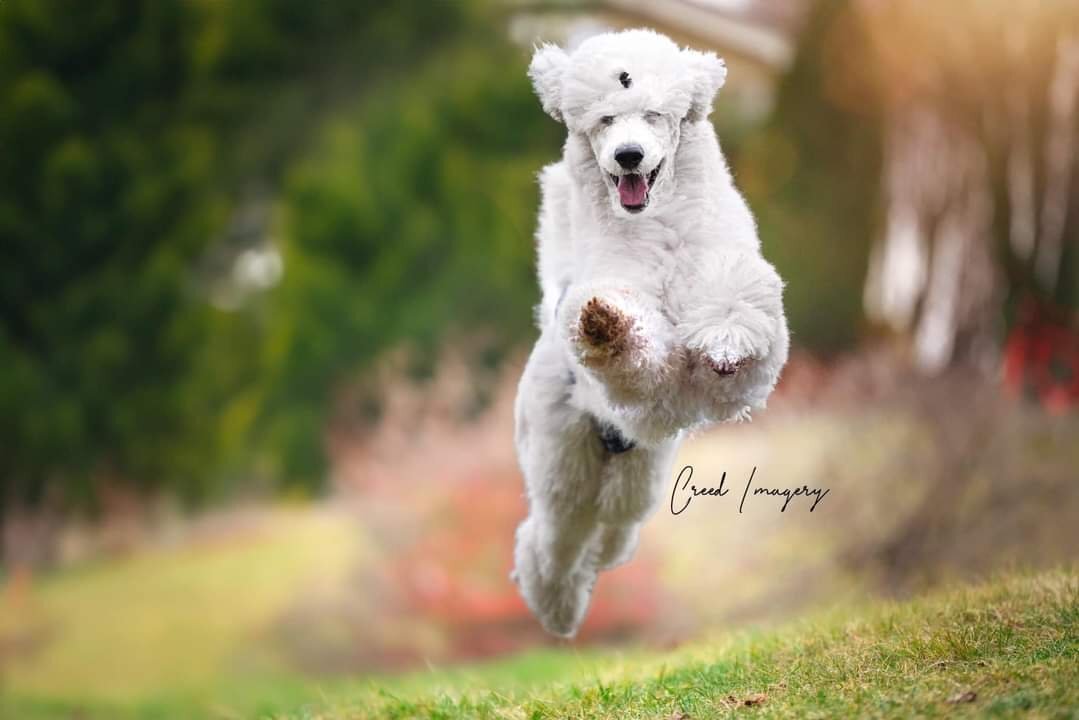 Building Photo - 3908 Old Jonesboro Rd