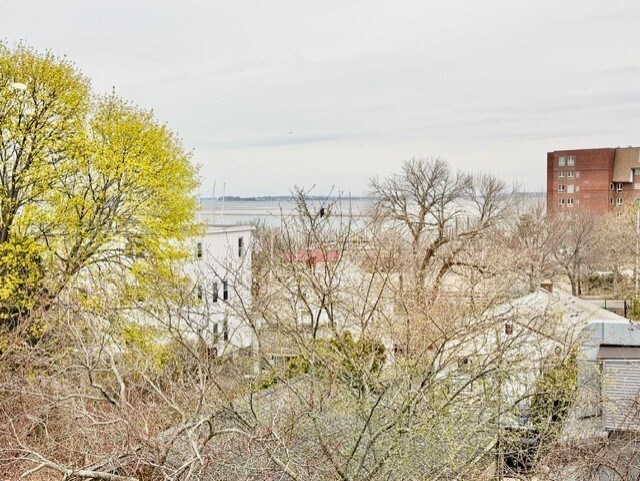 Building Photo - 14 Amity St