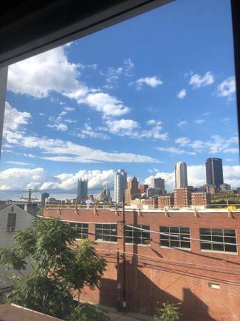 View from primary bedroom - 807 E Carson St