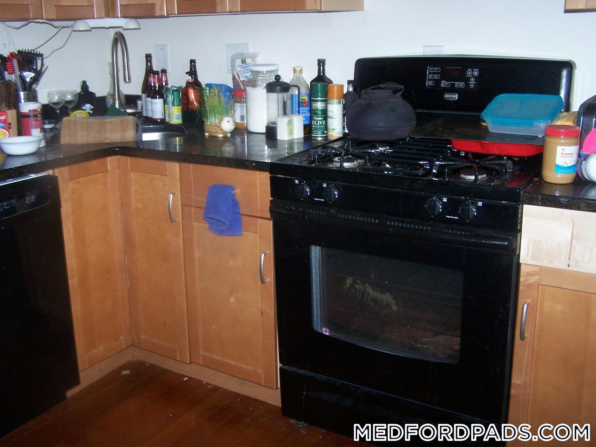 Building Photo - 79 Capen St