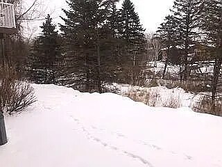 Building Photo - 321 Heritage Trl