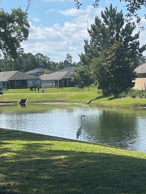 Building Photo - 70316 Winding River Dr