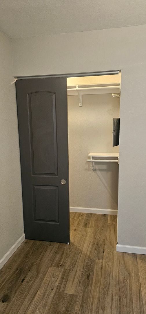 Building Photo - Renovated 2 Bedroom Apartment on Lake Treeline