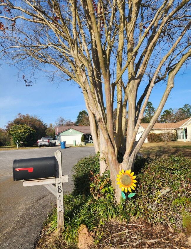 Building Photo - Adorable back yard in Gulf Shores - 3/2