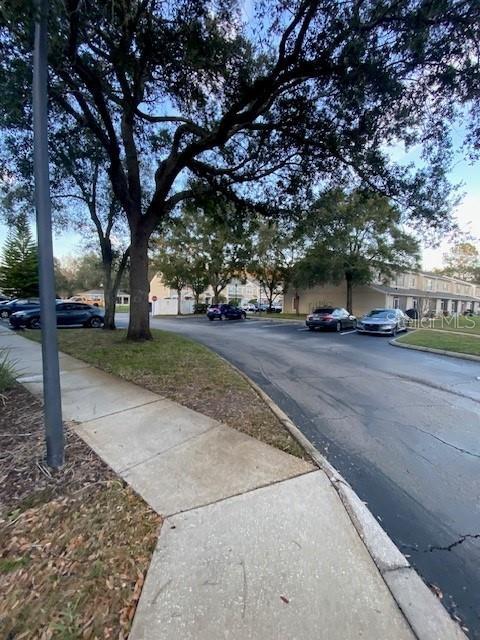 Building Photo - 5504 Carrollwood Key Dr