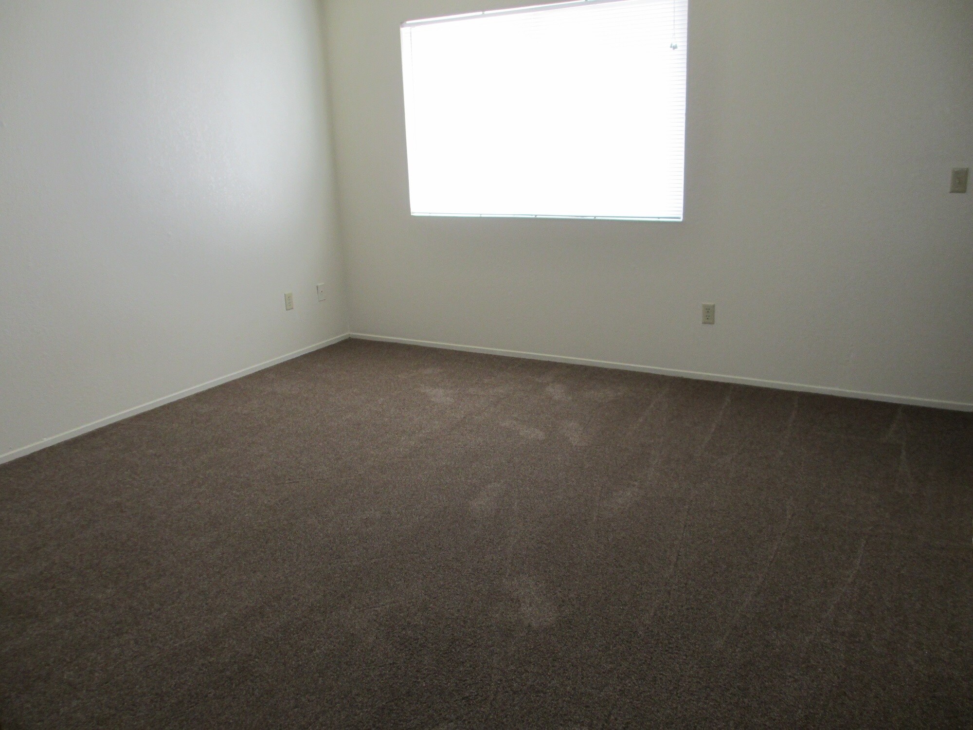 Building Photo - 1721 Azoulay Ct