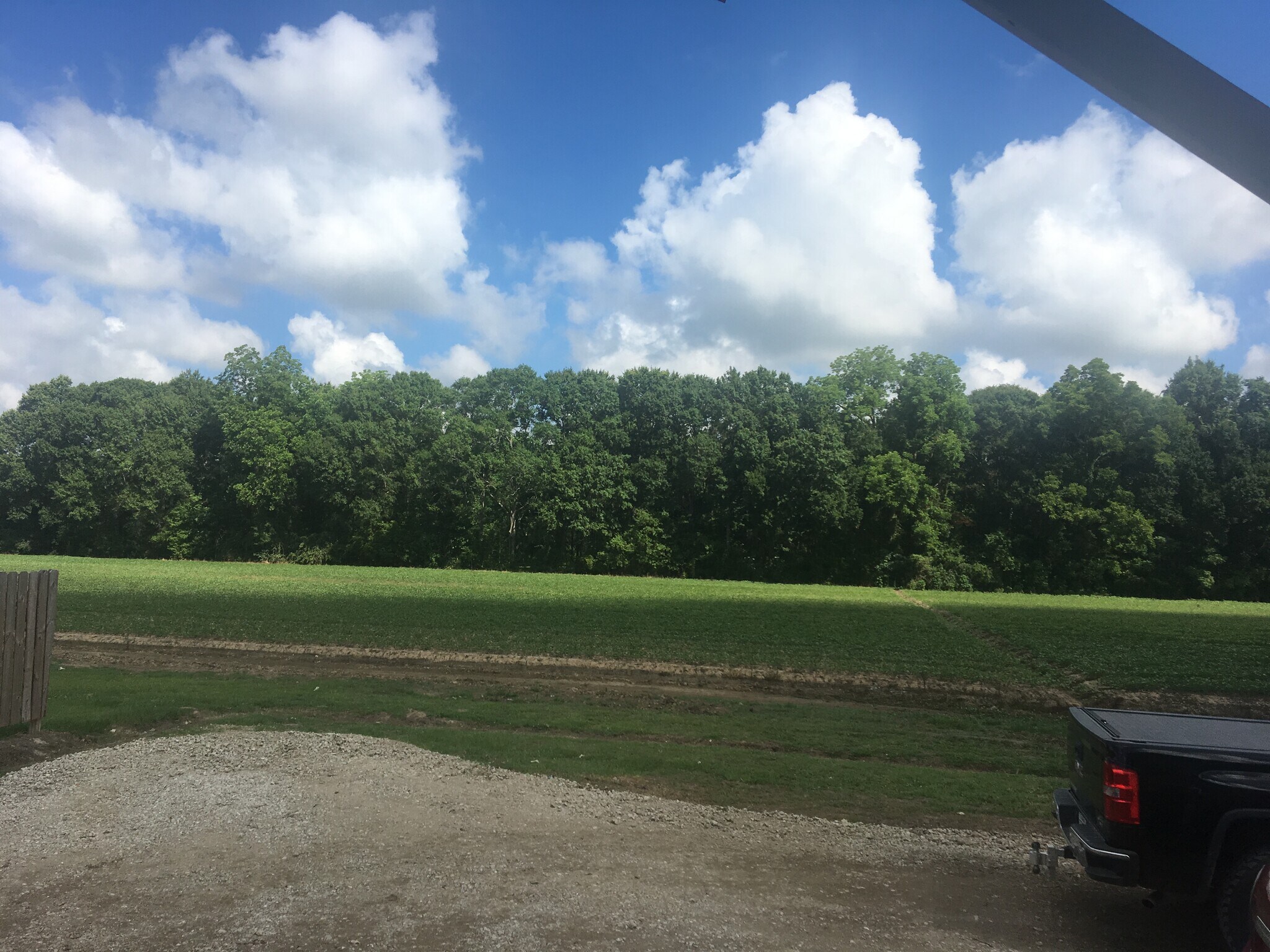 Backyard view from side porch. Great morning coffee spot - 1039 lady of the lake rd