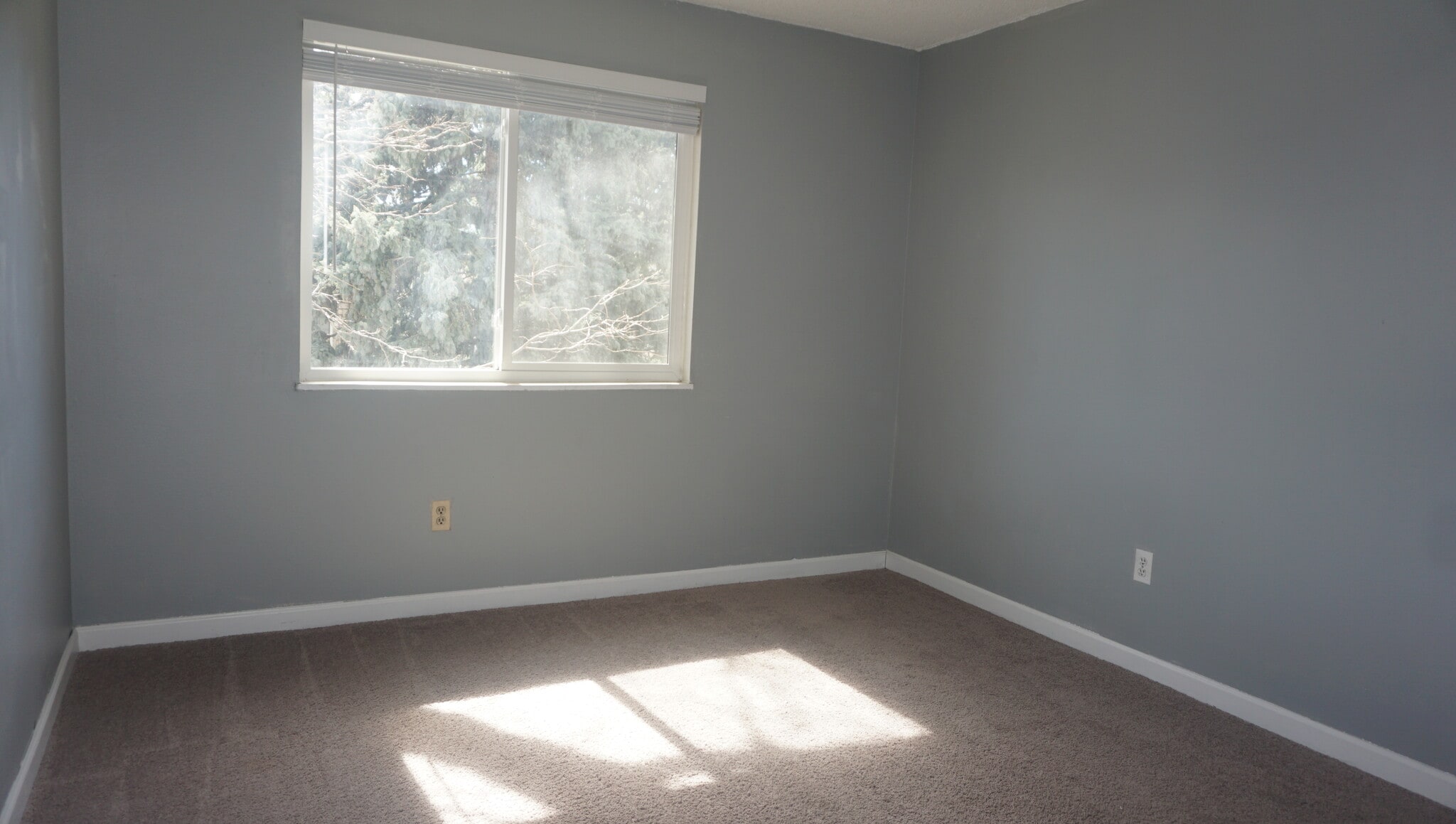 Tons of light, 10' x 12' second bedroom - 4400 S Quebec St