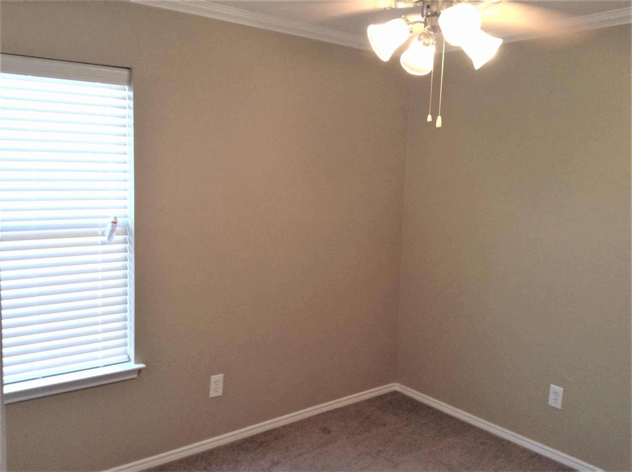 Building Photo - 308 Lake Travis Dr