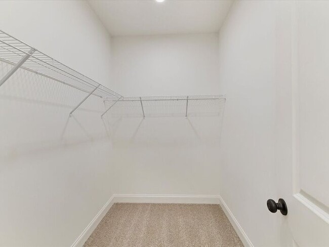 Building Photo - Brand New 4BD/2.5BA Home in Revolution Park!