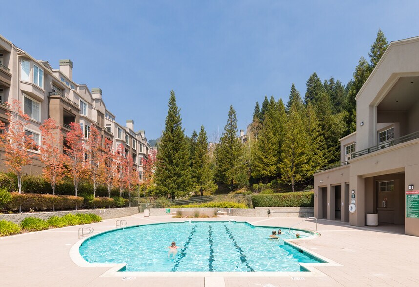 Pool and Buildings - 240 Caldecott Ln