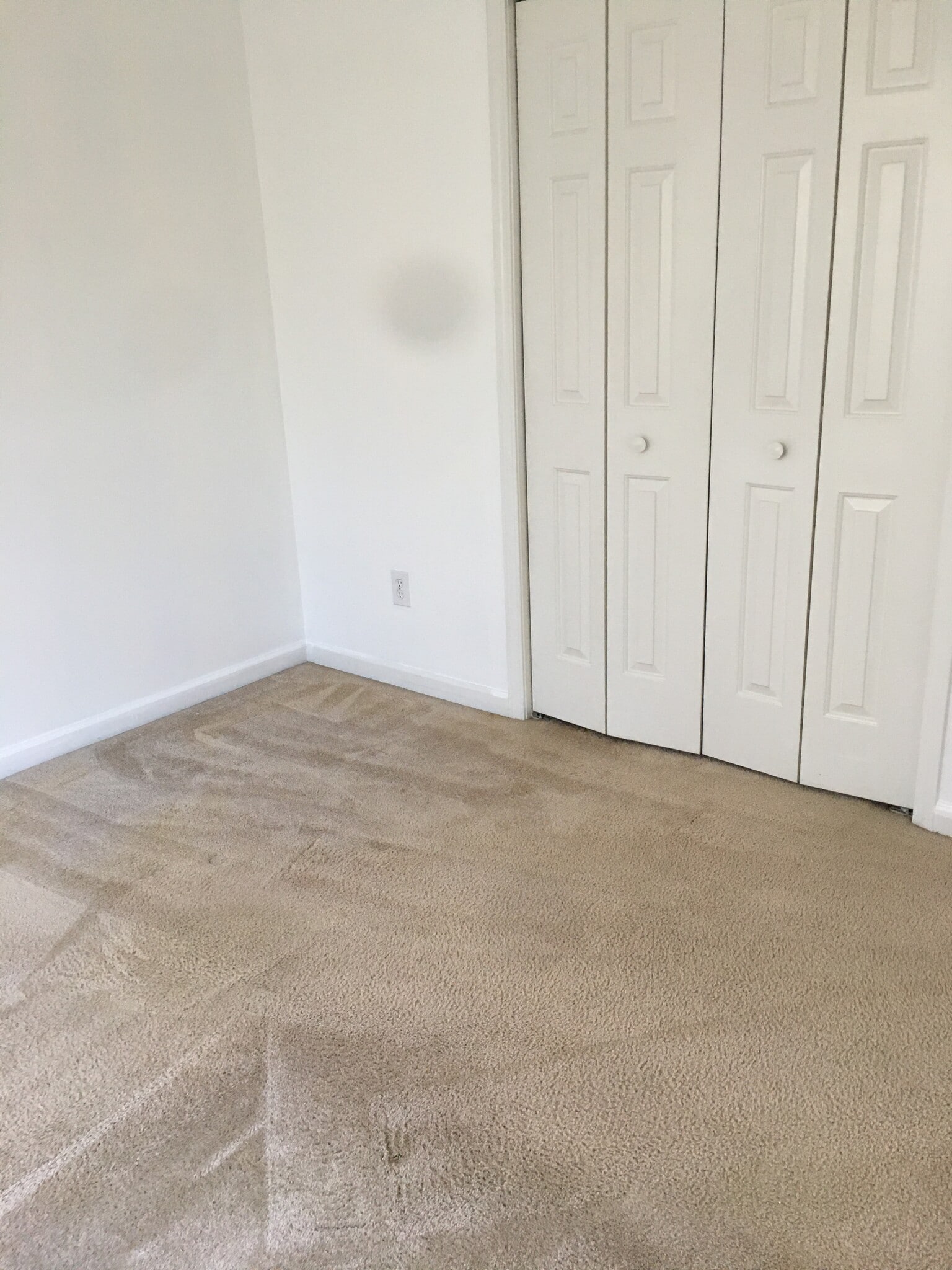 Building Photo - 534 Fielding Ct