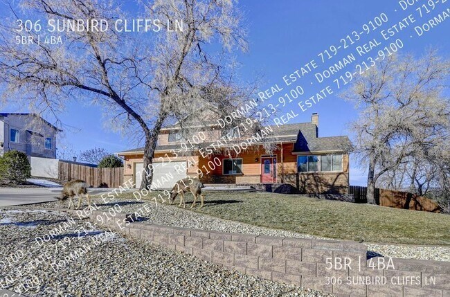 Building Photo - 306 Sunbird Cliffs Ln