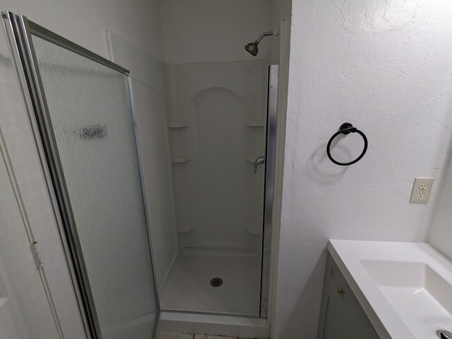 master bath shower - 232 W Roger Rd