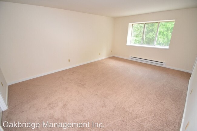 Building Photo - 36 Chatfield St