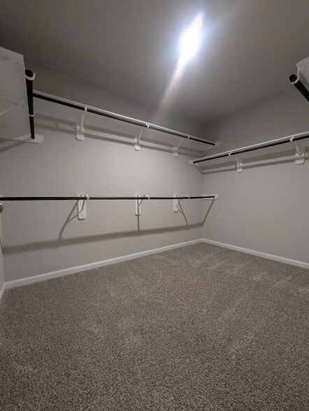 Building Photo - 3518 Windham Way