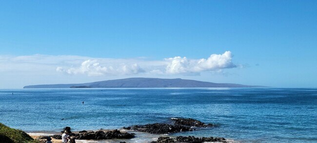 Building Photo - Live the beach life! Remodeled 1 Bedroom N...