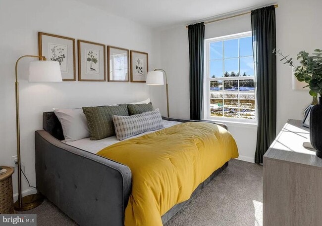 Building Photo - 8328 Alexander Ct