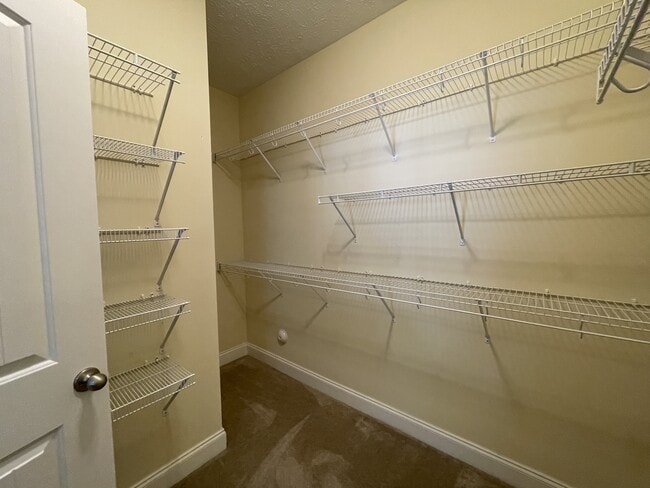Building Photo - 509 Capstone Dr