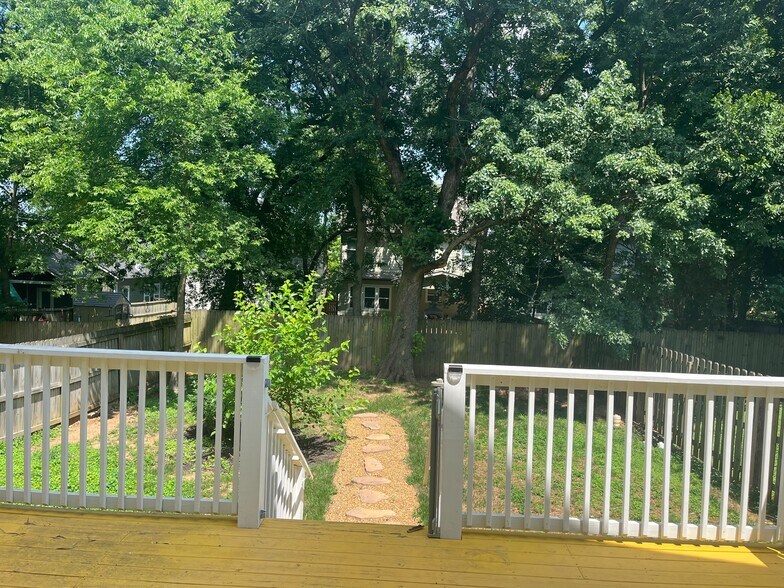 Yard - 1509 Wayne Dr