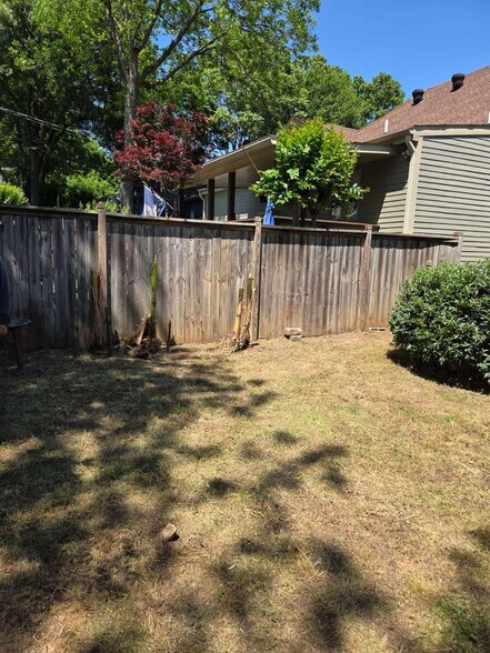 Back yard - 249 Powell St SE