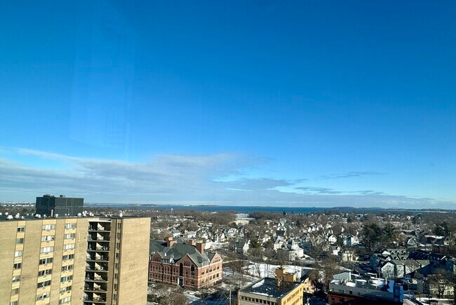 Building Photo - 77 Adams St