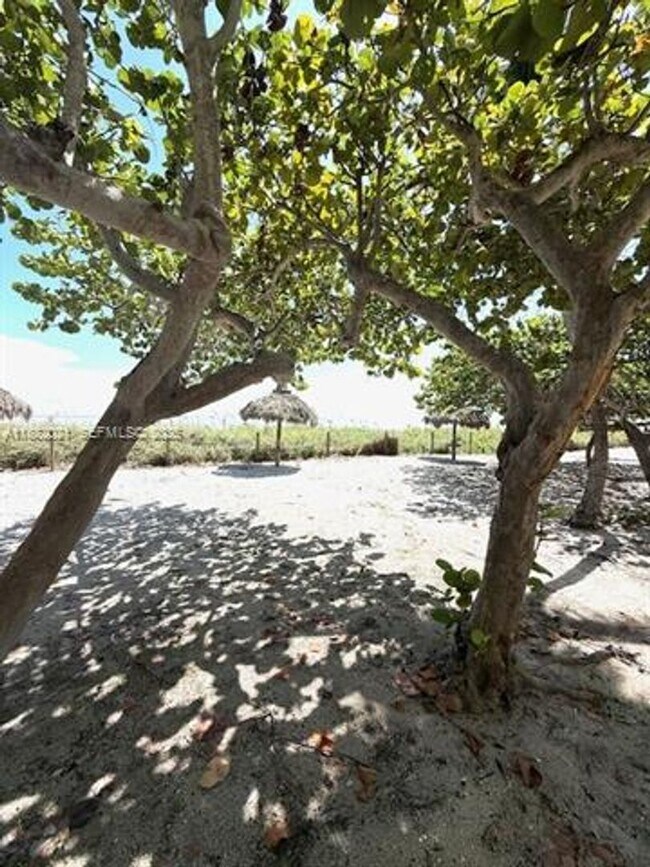 Building Photo - 1121 Crandon Blvd