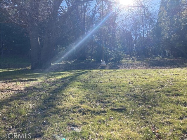 Building Photo - 180 Weisshorn Dr