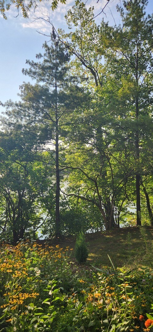 Building Photo - 5534 E Lake Dr