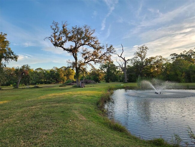 Building Photo - 2007 Colony Lakes Dr