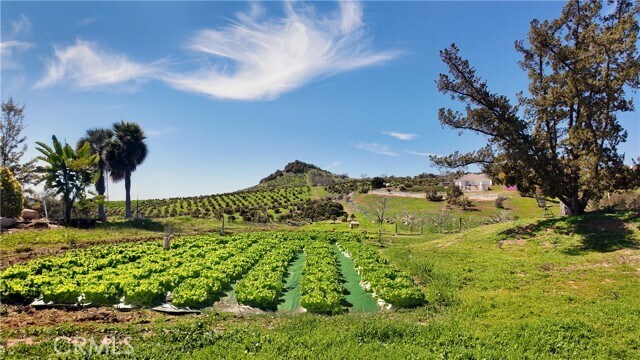 Building Photo - 31418 Cll De Talar