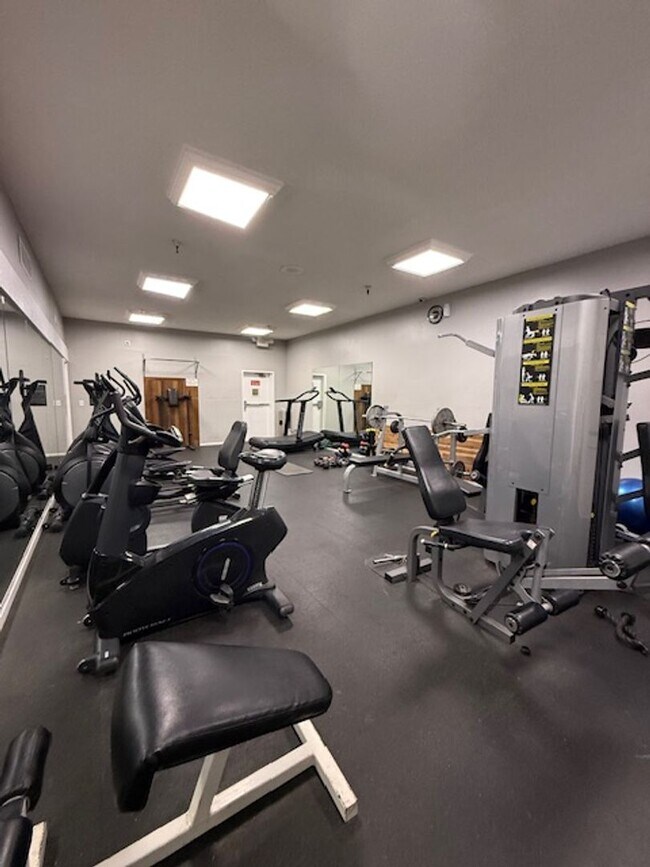Building Photo - Top floor, 1 Bedroom, 1 Bath Condo in Ston...
