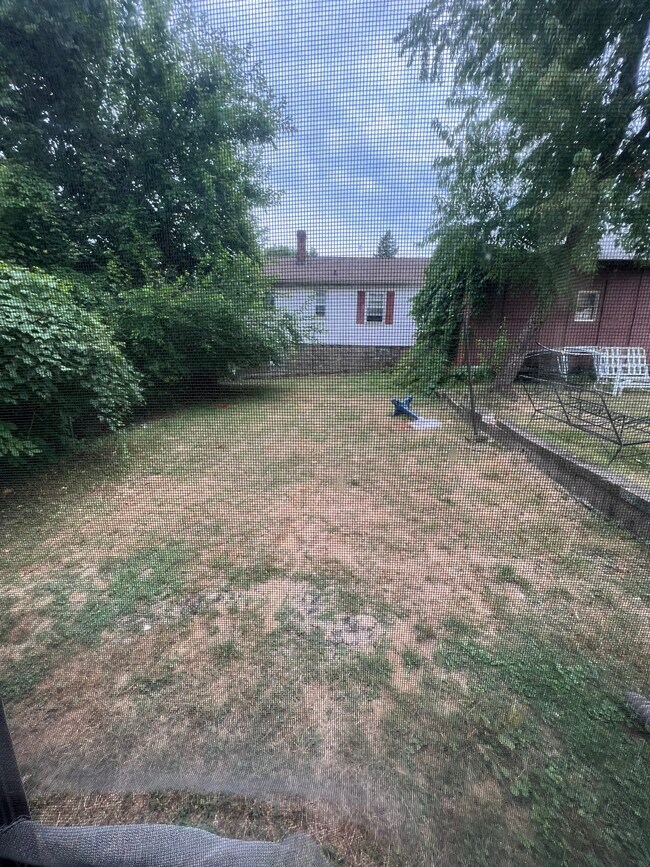 Back yard - 904 Punta Gorda Ave