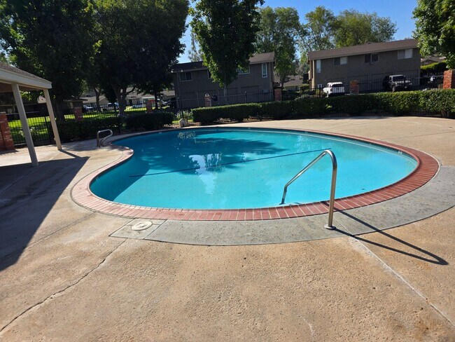 Building Photo - 910 Amistad Ct