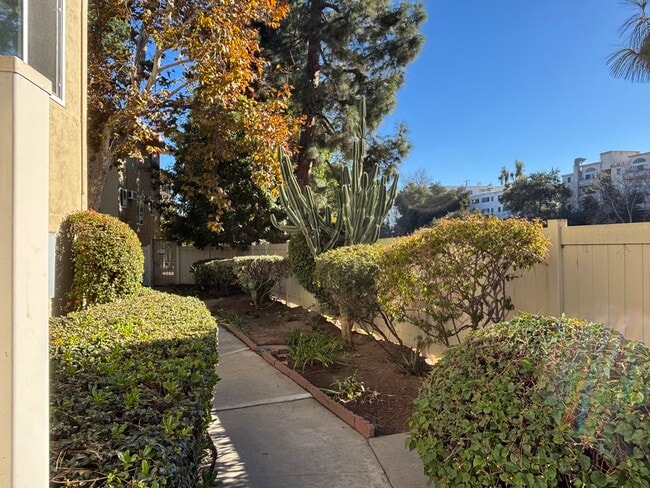 One of many paths in the Complex... - 11138 Aqua Vista St