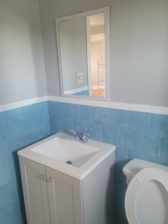 bathroom - 809 Charles St